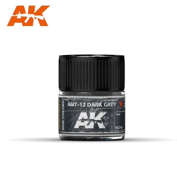AK-Interactive RC318 AMT-12 Dark Grey 10ml