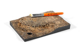 AK-Interactive AK621 Dry Brush