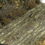 AK-Interactive AK8016 Terrains Wet Ground - Acrylic 250ml