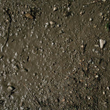 AK-Interactive AK8016 Terrains Wet Ground - Acrylic 250ml