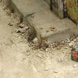 AK-Interactive AK8021 Terrains Light Earth - Acrylic 250ml