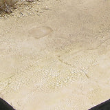 AK-Interactive AK8033 Terrains Light & Dry Crackle Effects - Acrylic 100ml
