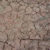 AK-Interactive AK8034 Terrains Wet Crackle Effects - Acrylic 100ml