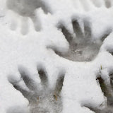 AK-Interactive AK8037 Terrains Ice Sparkles - Acrylic 100ml
